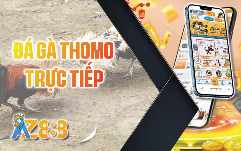 Trực tiếp đá gà AZ888 - Trực tiếp Thomo hàng ngày