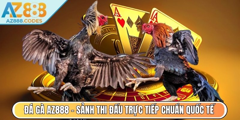 Đá Gà AZ888 - Sảnh thi đấu trực tiếp chuẩn quốc tế