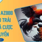 Đá Gà 4K AZ888 Đỉnh Cao Trải Nghiệm Cá Cược Trực Tuyến