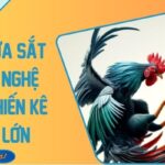 Đá Gà Cựa Sắt AZ888 - Nghệ Thuật Chiến Kê Thắng Lớn